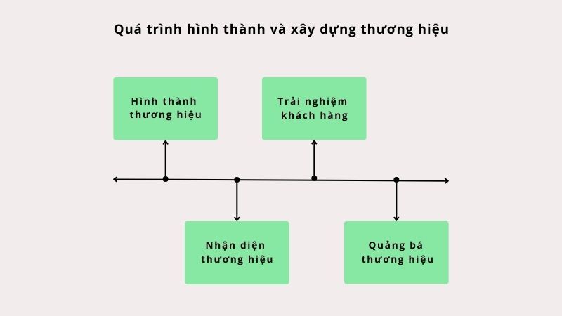 Quá trình hình thành và xây dựng thương hiệu