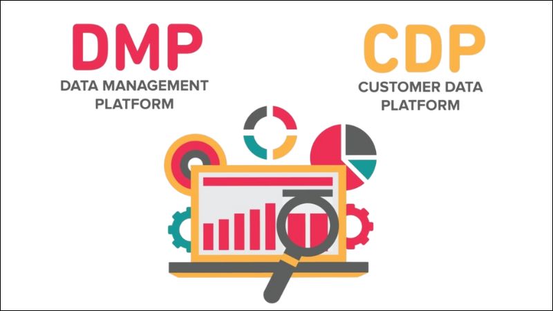 DMP và CDP có nhiều điểm khác biệt 