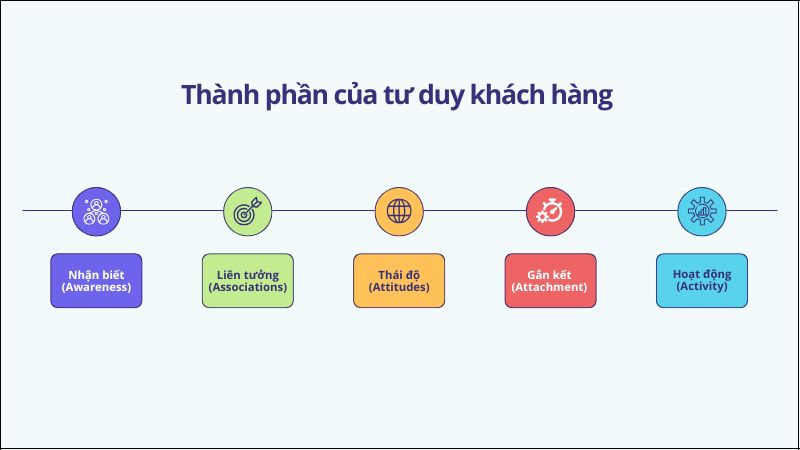 5 thành phần chính của tư duy khách hàng