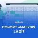 Cohort Analysis là gì? Phân tích nhóm và hành vi khách hàng
