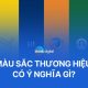 Màu sắc thương hiệu có ý nghĩa gì? Có quan trọng không?