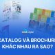 Catalog và Brochure sản phẩm khác nhau như thế nào?