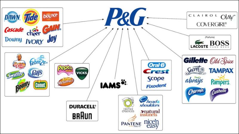 Biểu đồ minh họa chiến lược đa thương hiệu của P&G với các nhãn hàng