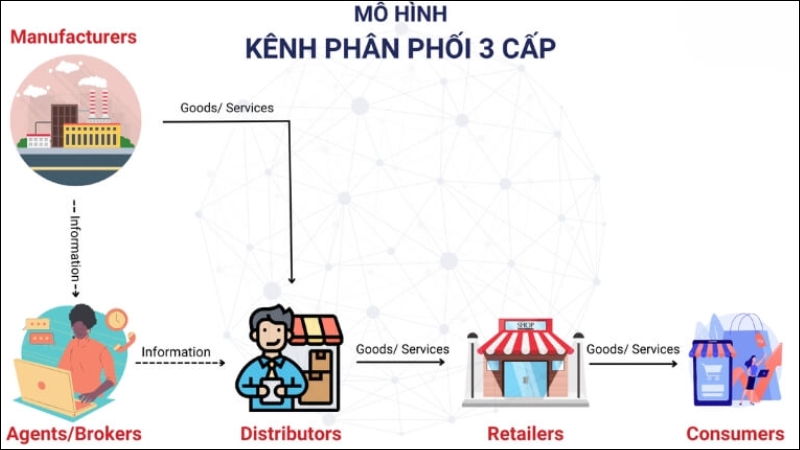 Sơ đồ kênh phân phối thường thấy của doanh nghiệp