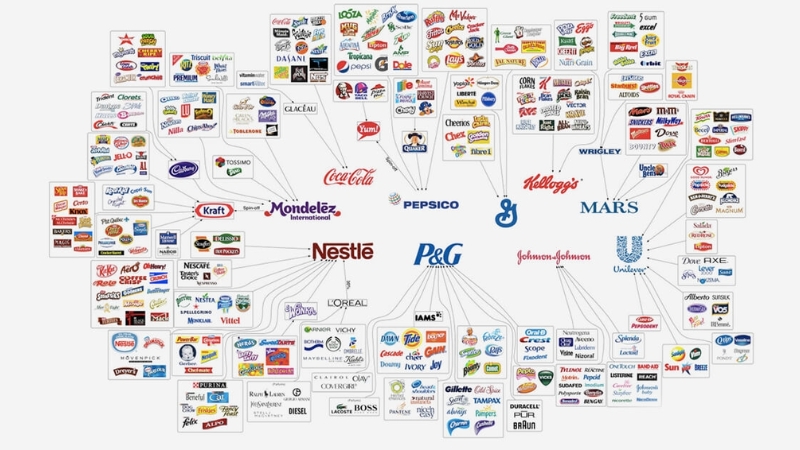 Ví dụ về mô hình House of Brands