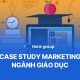 3 case study Marketing ngành giáo dục giúp đột phá chiến lược tuyển sinh