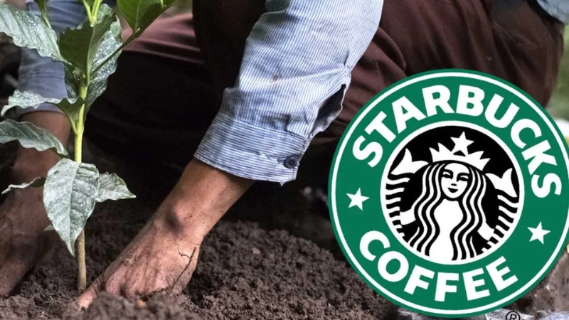 Starbucks xây dựng chuỗi cung ứng đạo đức (C.A.F.E. Practices)