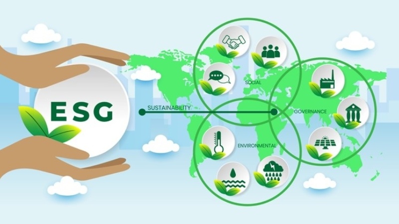 Việc tích hợp tiêu chuẩn Xanh là đòn bẩy để tiếp cận nguồn vốn FDI và các quỹ đầu tư quốc tế