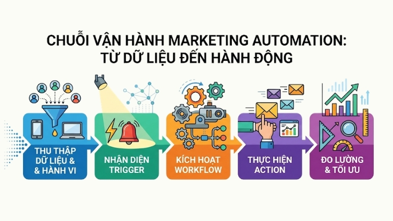 Flow 5 bước marketing automation hoạt động